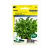 Graines de Roquette Sauvage Sylvetta