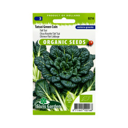 Graines de Tatsoi Green Coin BIO – Tah Tsai