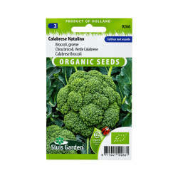 Graines de Chou Brocoli Vert Calabrese Natalino BIO