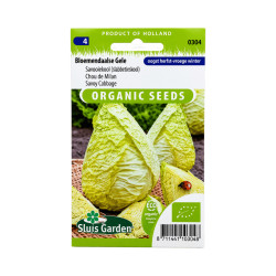 Graines de Chou de Milan Bloemendaalse Gele BIO