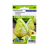 Graines de Chou de Milan Bloemendaalse Gele BIO