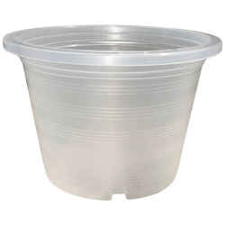 Pot Transparent 6.2L