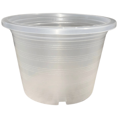 Pot Transparent 6.2L