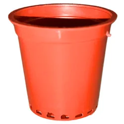 Pot Propagation 0.1L 