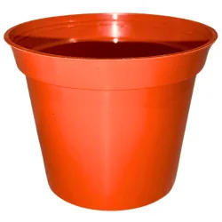Pot Propagation Rouge 0,2L