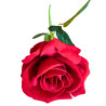 G2 Rose arti en tige (rouge)