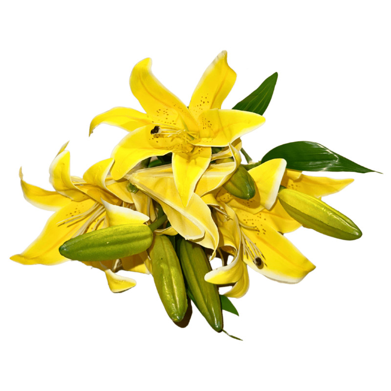 C Lys Arti Bouquet main (Jaune)