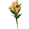C Lys Arti Bouquet main (Orange)