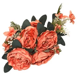 K2 2024 Bq Corail