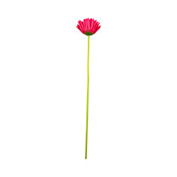 Gerbera Artificiel Rose Fuchsia