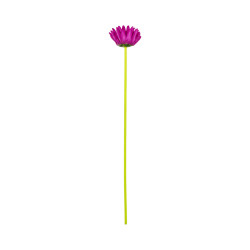 Gerbera Artificiel Mauve