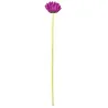 A0041 FleurArti.GERBERA (Mauve)