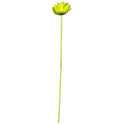 A0041 FleurArti.GERBERA (Vert)