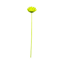 Gerbera Artificiel Vert