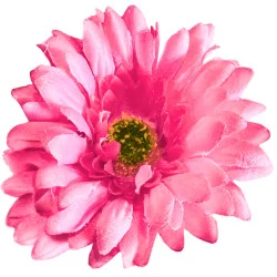 A0041 FleurArti.GERBERA (Rose Clair)
