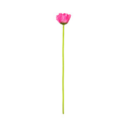 Gerbera Artificiel Rose Clair