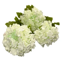 K5 Hortensia Arti.x3 (Blanc)