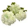 K5 Hortensia Arti.x3 (Blanc)