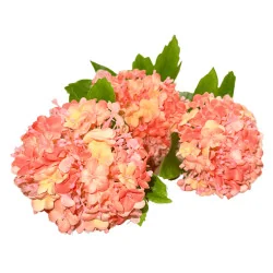 K5 Hortensia Arti.x3 (Orange)