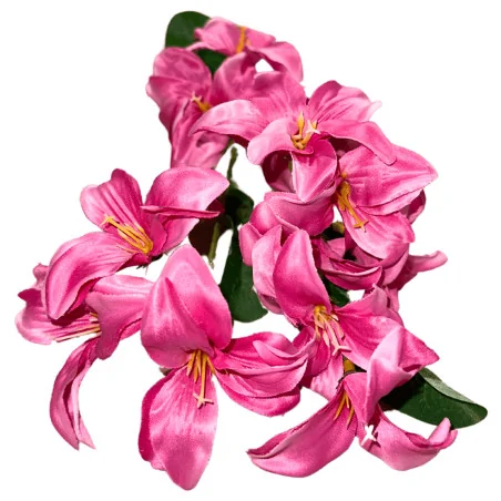 K4 Tiges d'Iris (Rose clair)