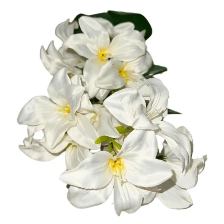 K4 Tiges d'Iris (Blanc)