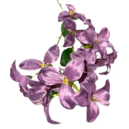 K4 Tiges d'Iris (Violet)