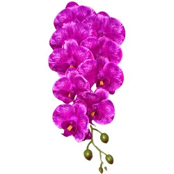 HS002 Phal#4 Mauve dégradé