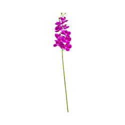 Orchidée Mauve Extérieur Clair Artificielle