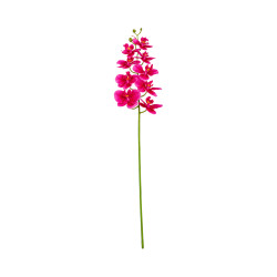Orchidée Rose Dégradée Bord Blanc Artificielle