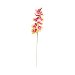 Phalaenopsis Jaune tache Rose Artificielle