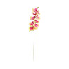 Phalaenopsis Jaune tache Rose Artificielle