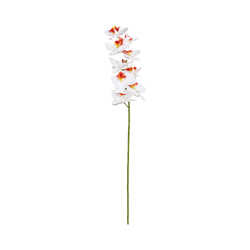 Orchidée Phalaenopsis blanc cœur rouge-jaune 9 fleurs