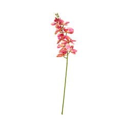 Phalaenopsis Jaune Rose Artificielle
