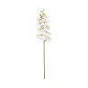 Orchidée Blanche Cœur Jaune Artificielle
