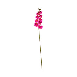 Orchidée Rose Dégradée Bord Blanc Artificielle