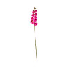 Orchidée Rose Dégradée Bord Blanc Artificielle
