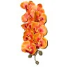 HS002 Phal#9 Orange int rose foncé