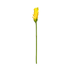 Opuhi Jaune Artificiel