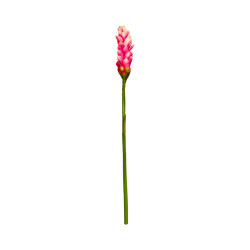 Opuhi Rose Artificiel