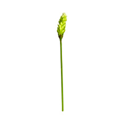Opuhi Vert Artificiel