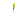 Opuhi Vert Artificiel