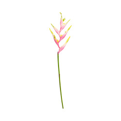 Oiseau de Paradis Rose Blanc Artificiel
