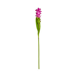 Bromélia Rose Artificiel