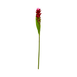 Bromélia Rouge Artificiel