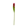 Bromélia Rouge Artificiel