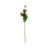 Tige 4 Roses 1 Bouton Vieux Rose Artificielle