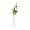Tige 4 Roses 1 Bouton Blanche Artificielle