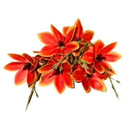 P06 Branche Fleur #2 Orange Panaché fonc