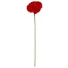 Tige Anthurium Arti Rouge