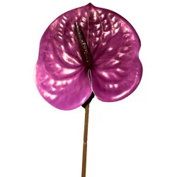 Anthurium artificiel sur tige – Violet nacré